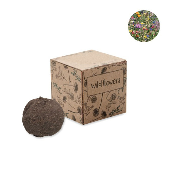 BOMBI - Saat-Set Wildblumen