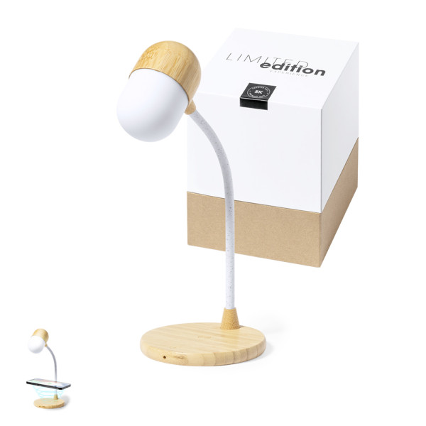 Multifunktion Lampe Lars