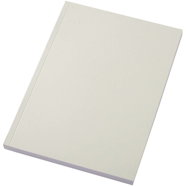 Scribe Plus A5 recyceltes Softcover Notizbuch
